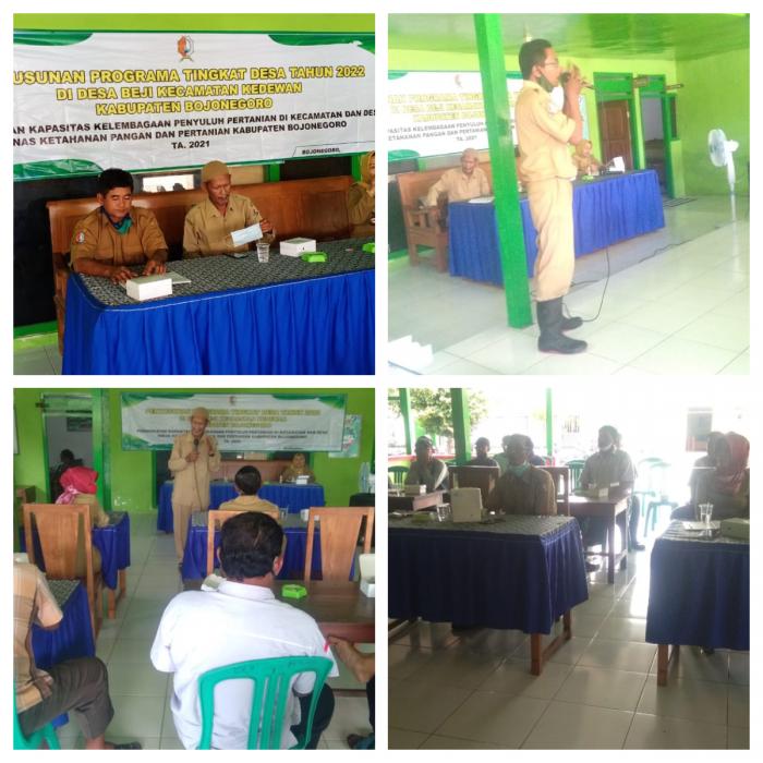PENYUSUNAN PROGRAM PENYULUHAN PERTANIAN TINGKAT DESA DIDESA BEJI KECAMATAN KEDEWAN KABUPATEN BOJONEGORO