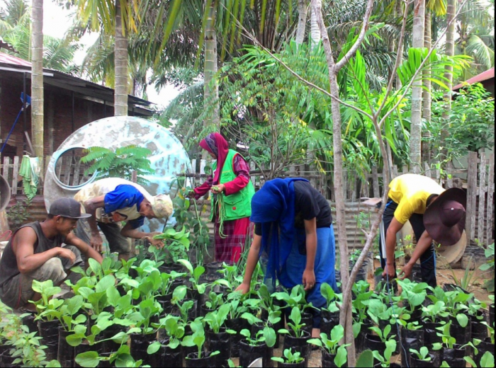 Pemanfaatan Lahan Pekarangan Rumah