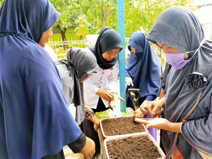 Kegiatan KRPL KWT Kampung Tangnga Kelurahan Sudiang Kota Makassar