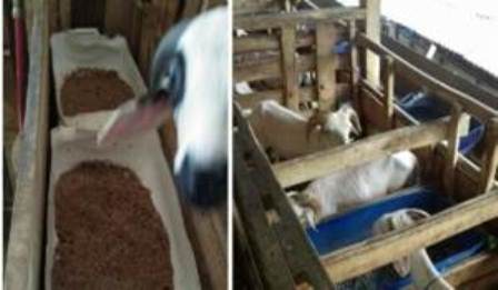 PENANGANAN DAN PENYIMPANAN SUSU
