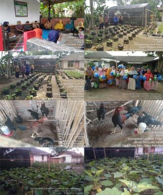 OPTIMALISASI PEMANFAATAN PEKARANGAN Kecamatan Jenangan Kabupaten Ponorogo