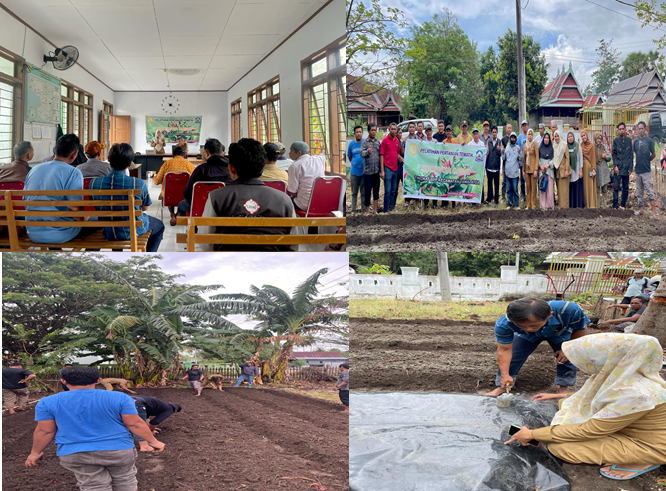 BPP TAMALATEA MELAKSANAKAN PELATIHAN TEMATIK BUDIDAYA CABAI BAGI PETANI