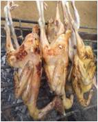 Mengenal Ayam Kampung Super Dan Prospek Usaha Peternakanayam Kampung Super Dikelurahan Matabubu Kecamatan Poasia Kota Kendari