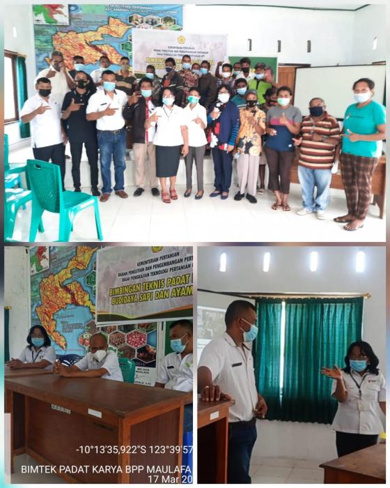 Petani Peternak dari Beberapa Kelurahan di Kota Kupang mengikuti Bimtek Padat Karya di BPP Maulafa, Kecamatan Maulafa