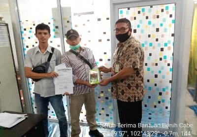 Serah Terima Bantuan Benih Cabe dan Sarana Produksi 