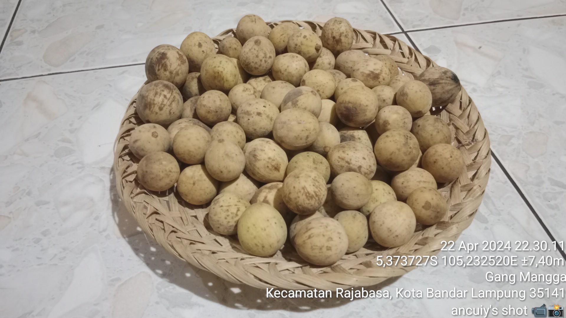 MANFAAT BIJI BUAH DUKU BAGI KESEHATAN