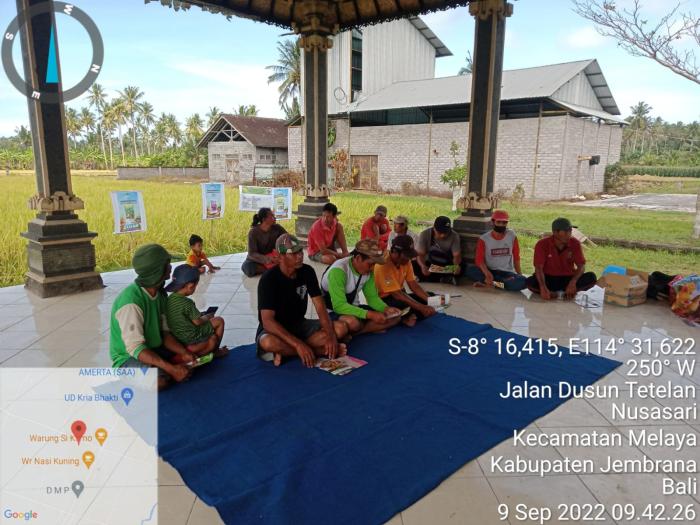 UBINAN DEMPLOT BIOURIN DAN PEMUPUKAN BERIMBANG SUBAK PALAMERTA