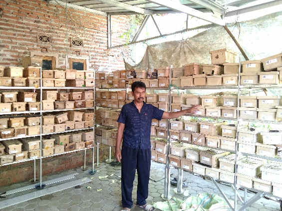 SOSOK PETANI MILENIAL YANG SUKSES MEMBUDIDAYAKAN LEBAH MADU KLANCENG