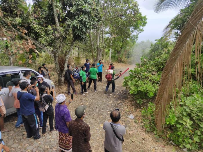 Tingginya Serangan Wereng Putih pada Tanaman Mete, Dinas Pertanian Kabupaten Karangasem Lakukan Gerakan Pengendalian (GerDal)