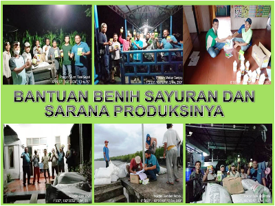 Bantuan Benih Sayuran dan Sarana Produksinya APBN Tahun 2021