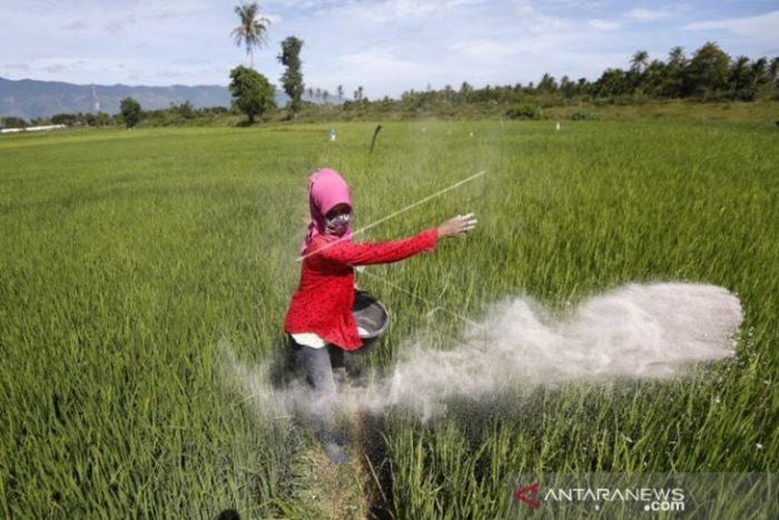 UPPO SEBAGAI SOLUSI KELANGKAAN PUPUK
