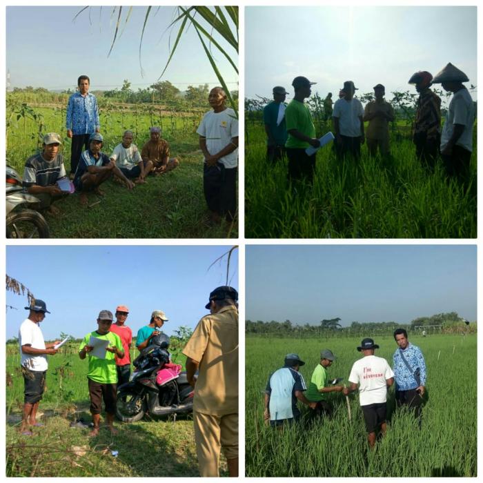 MEMBENTUK PETANI MANDIRI MELALUI SLPHT SWADAYA DESA TREMBES KECAMATAN MALO