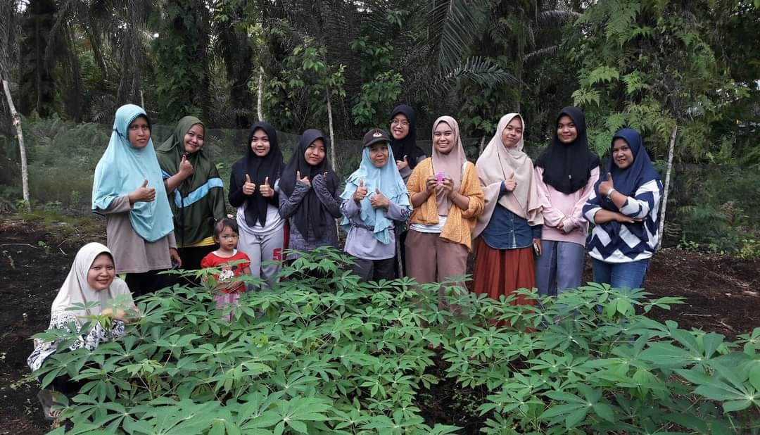 Budidaya Sayur Di Lahan Gambut Desa Pakning Asal Kecamatan Bukit Batu