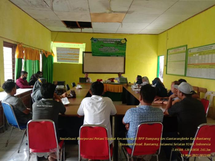 SOSIALISASI KOORPORASI PETANI TINGKAT KECAMATAN DI BPP DAMPANG KEC.GANTARANGKEKE KAB.BANTAENG