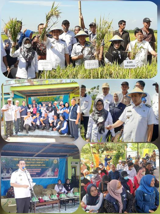 Panen Raya ( Farm Field Day ) Dalam Mendukung Ketahanan Pangan Nasional Dan Daerah Kabupaten Pangkajene Dan Kepulauan
