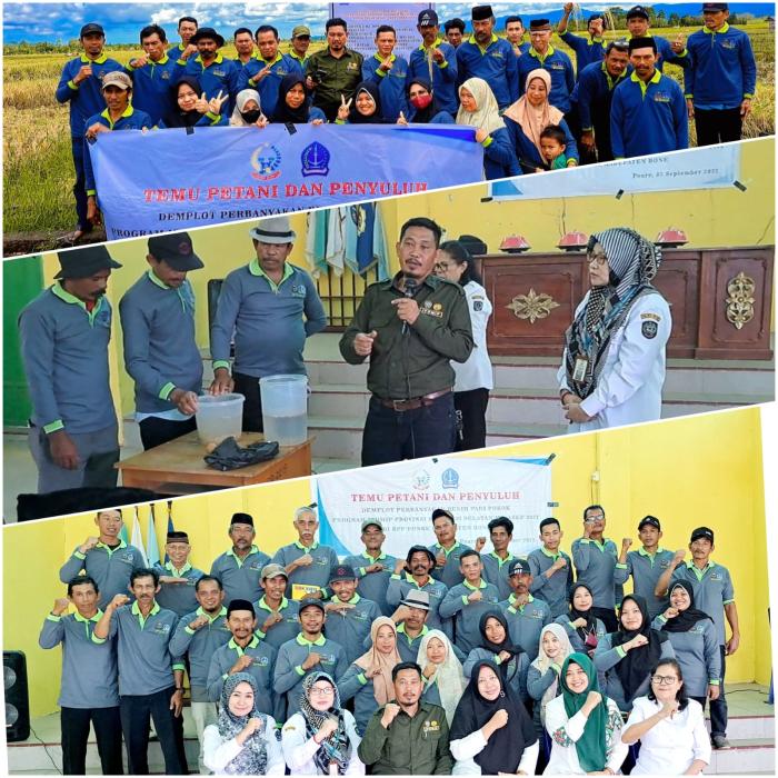 Temu Petani dan Penyuluh Demplot Perbanyakan Benih Padi Program IPDMIP Prov. Sul-Sel di BPP Ponre Kab. Bone