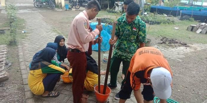 Mol Bonggol Pisang Saka Taruna Bumi