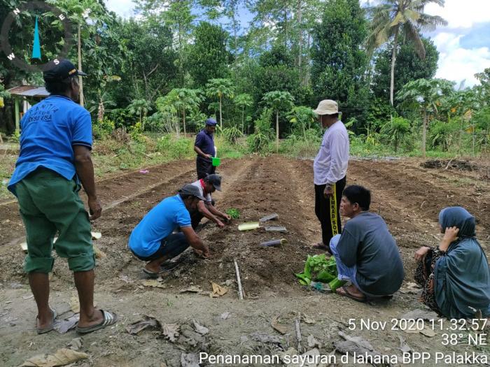 Pemanfaatan BPP Palakka sebagai lahan percontohan