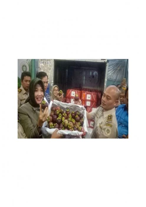 PEMANGKASAN DAN PENGAIRAN PADA TANAMAN RAMBUTAN