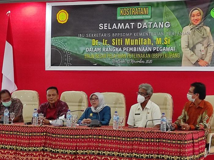 PEMBANGUNAN PERTANIAN DI NUSA TENGGARA TIMUR  MAJU, MANDIRI DAN MODERN