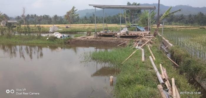 PENERAPAN PERTANIAN TERPADU DI DESA MARON KECAMATAN LOANO