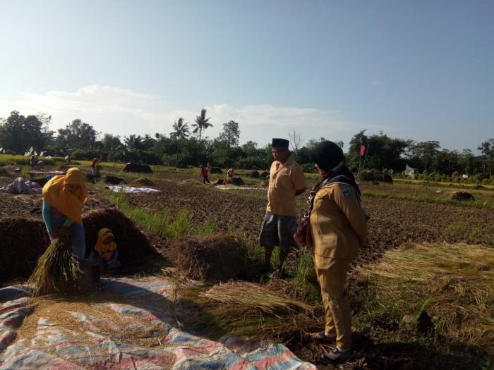 Pemantauan Pertanaman dan Luas Panen di Poktan Tompo Tabbing Kel.Gantarangkeke Kec.Gantarangkeke Kab.Bantaeng