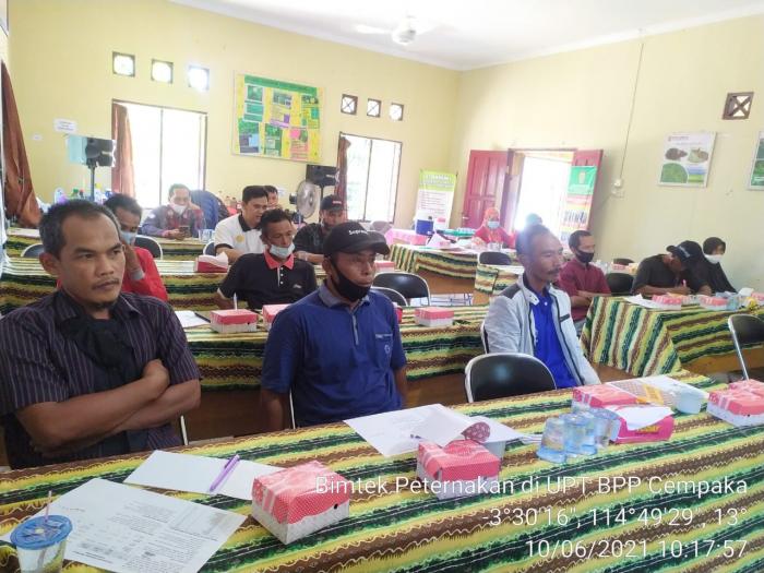 Peningkatan Itik Petelur Melalui Pakan Lokal