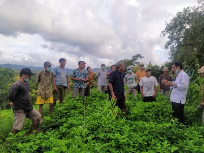 SOSIALISASI DEM FARM KACANG TANAH