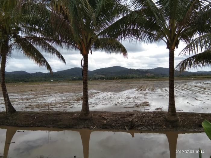 BERAKTIVITAS KEMBALI SETELAH MUSIBAH BANJIR MELANDA