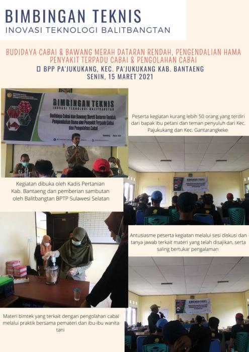 BIMBINGAN TEKNIS BUDIDAYA CABE DAN BAWANG MERAH DATARAN RENDAH