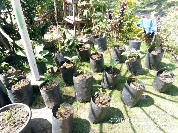 FUNGSI LAHAN PEKARANGAN