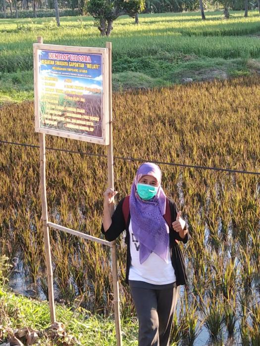 Uji Coba Black Madras Untuk Pertama Kali Di Binamu 