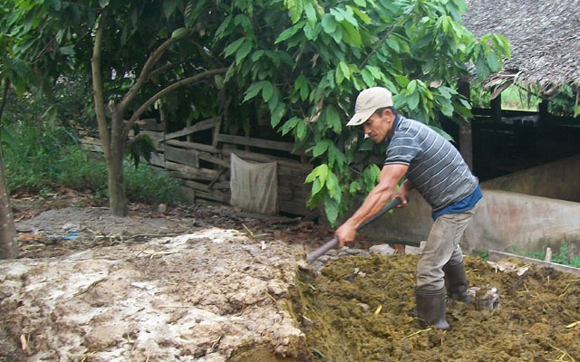 Pembuatan Kompos Pupuk Kandang
