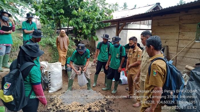 Pembuatan Pupuk Organik Di Kelompok Tunas Jaya