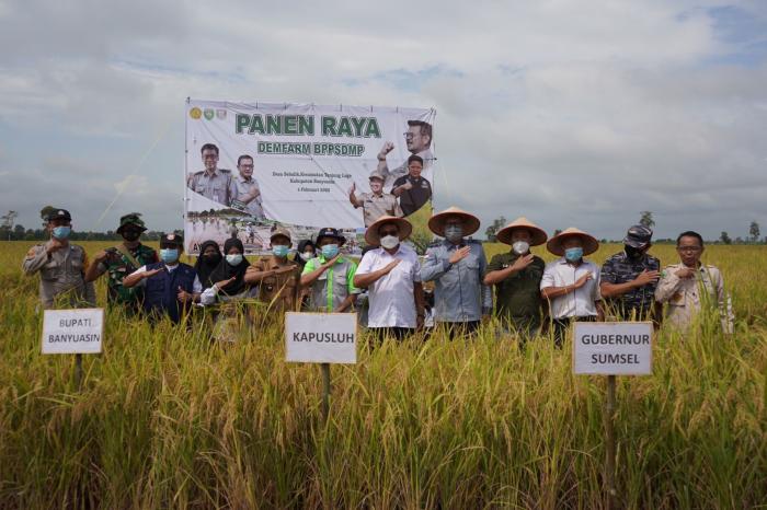 Teknik Budidaya Ubi jalar Orang Asli Papua