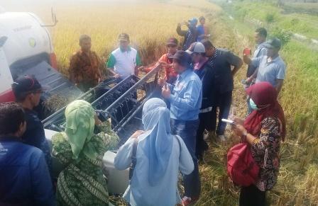 Keunggulan dan Kelemahan Metode Penyuluhan dalam bentuk Demonstrasi