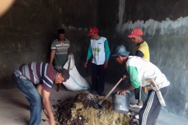 Pemanfaatan Jerami Untuk Pembuatan Kompos Dikelompok Tani Kareppekang Desa Bukit Tinggi