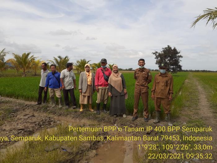 Pertemuan Rutin Bpp Kecamatan Semparuk Kabupaten Sambas Tahun 2021