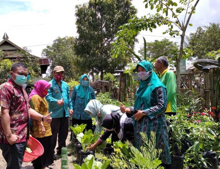 Kelompok Wanita Tani Purnama Desa Parigi Kecamatan Takkalalla Kabupaten Wajo Panen Hasil Kegiatan Pekarangan Pangan Lestari (P2L)