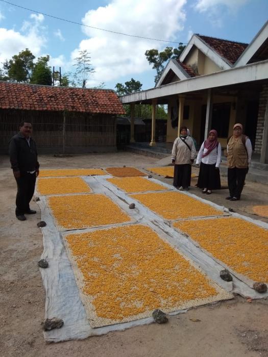 OLAHAN JAGUNG KHAS MADURA