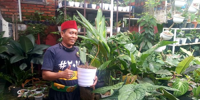 Mengenal Sosok Si Peci Merah Bojongsari, Sukses Bertani Berawal Dari Hobi