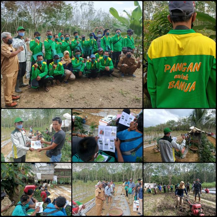 PERTEMUAN SL KELOMPOK TANI KOMODITI CABE RAWIT 