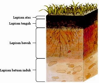 Mengenal Lapisan Tanah