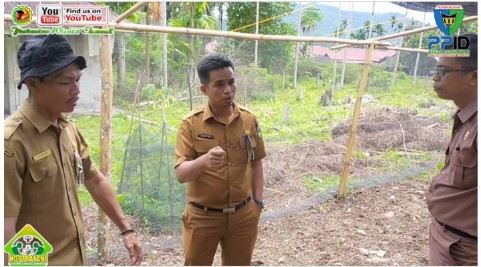 KUNJUNGI BPP KOTO XI TARUSAN, KEPALA DINAS PERTANIAN PANTAU PENAMAMAN CABAI DAN BAWANG DI BPP