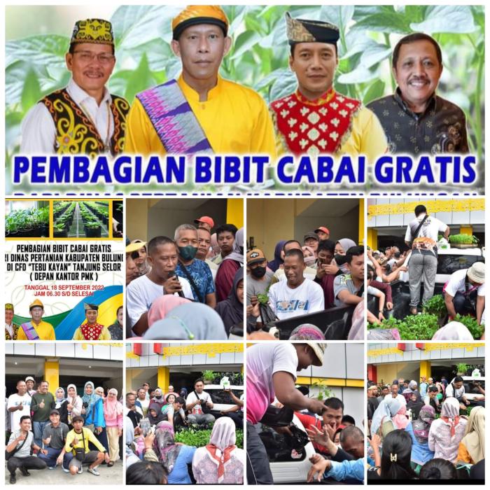 Bupati Bulungan Bagi Cabe Gratis Ke Masyarakat